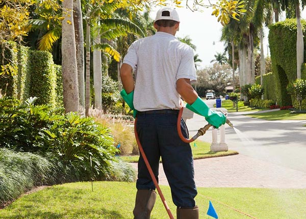 About Blythewood SC Pest Control Pros